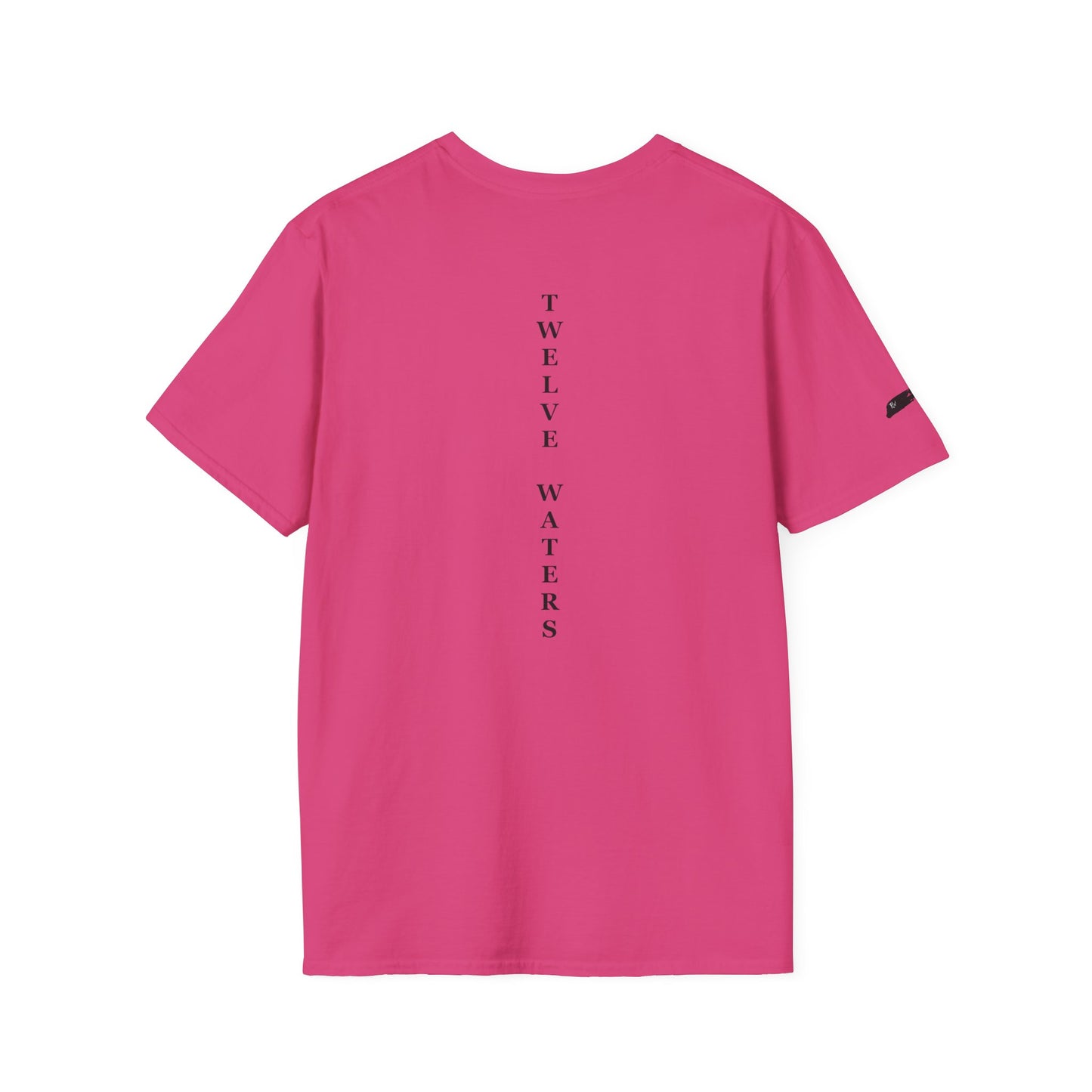 Twelve Waters Unisex Softstyle T-Shirt, Casual Tee, Everyday Wear, Gift Idea, Statement Fashion