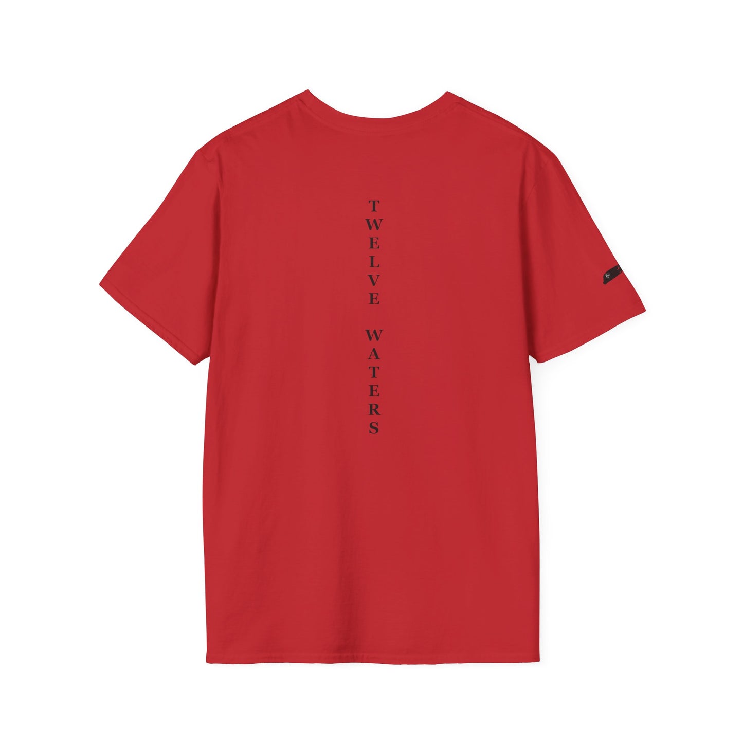 Twelve Waters Unisex Softstyle T-Shirt, Casual Tee, Everyday Wear, Gift Idea, Statement Fashion