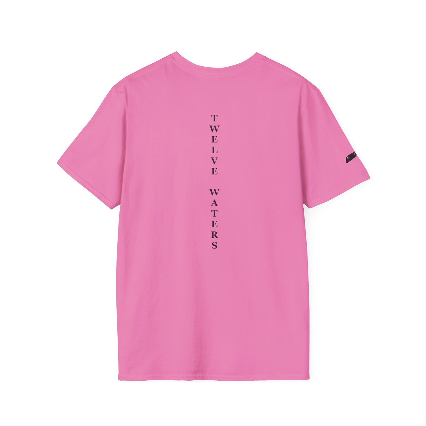 Twelve Waters Unisex Softstyle T-Shirt, Casual Tee, Everyday Wear, Gift Idea, Statement Fashion