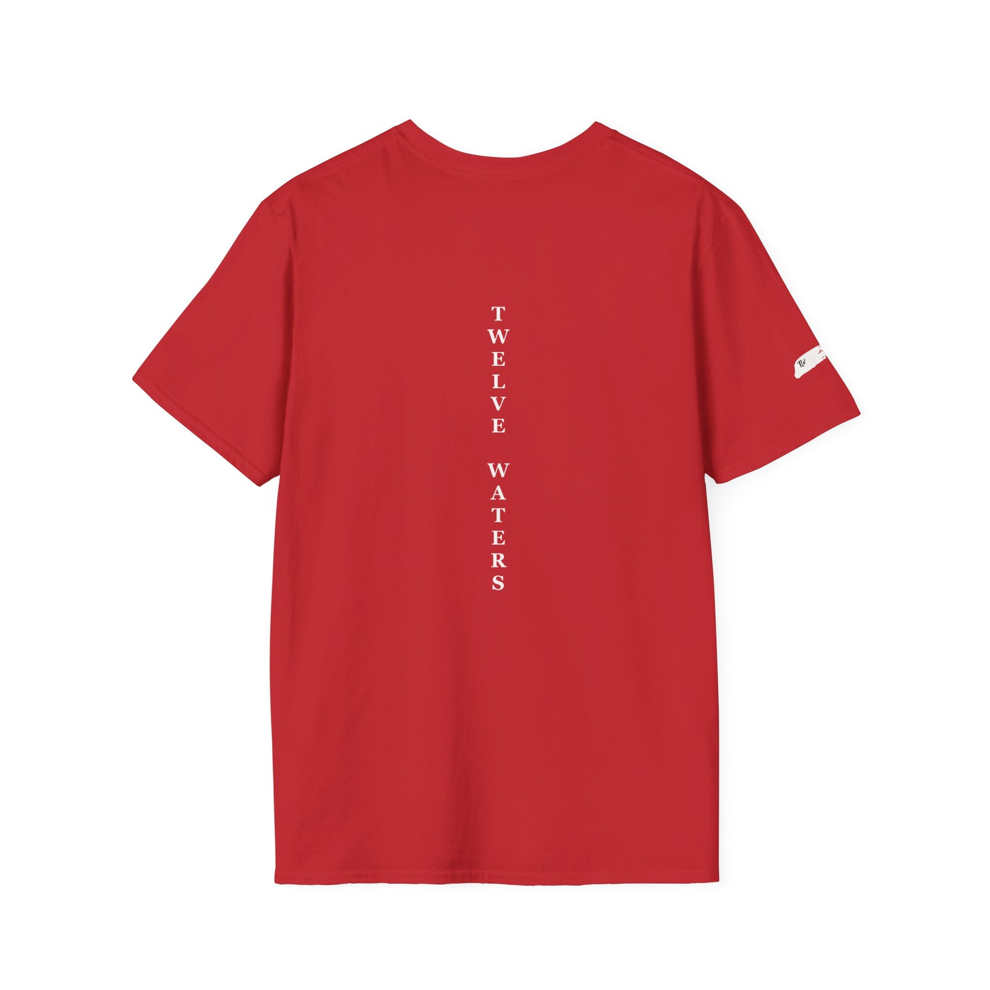 Unisex Softstyle T-Shirt | Cozy Casual Tee for Everyday Wear, Perfect for Gifts, Birthdays, and Celebrations